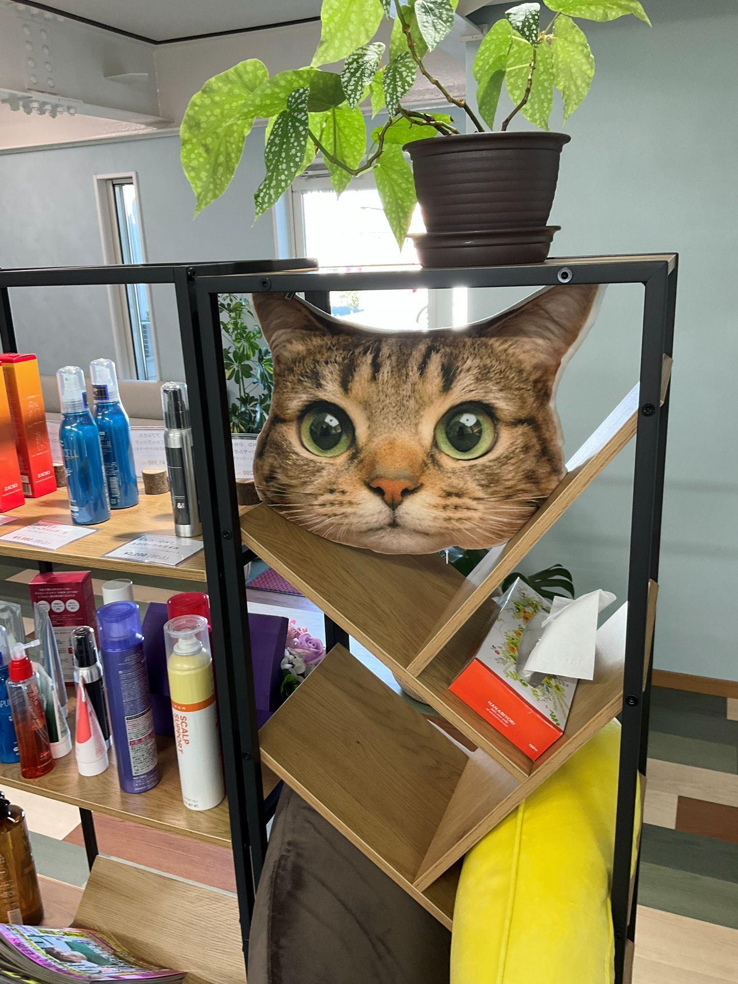 AdobeStock_177215750
